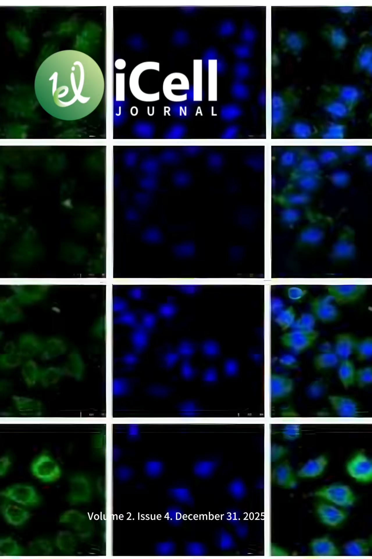 					View Vol. 2 No. 4 (2025): Volume 2, Issue 4
				